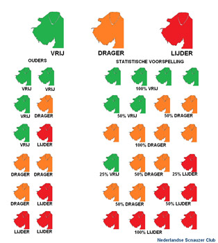 Lijders-dragers-vrije