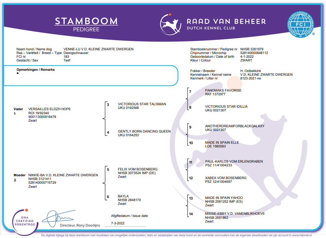 Sedie-Stamboom